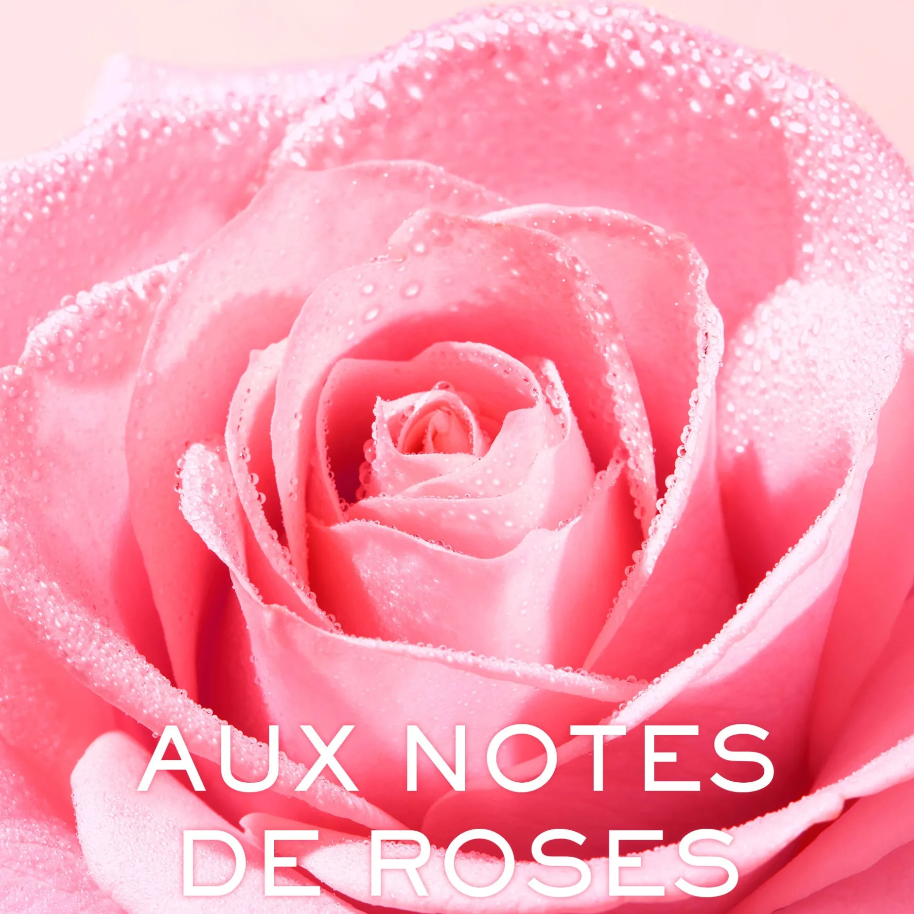 cremige_reinigungsmilch_4.webp NUXE Gesichtsreinigung*Cremige reinigungsmilch