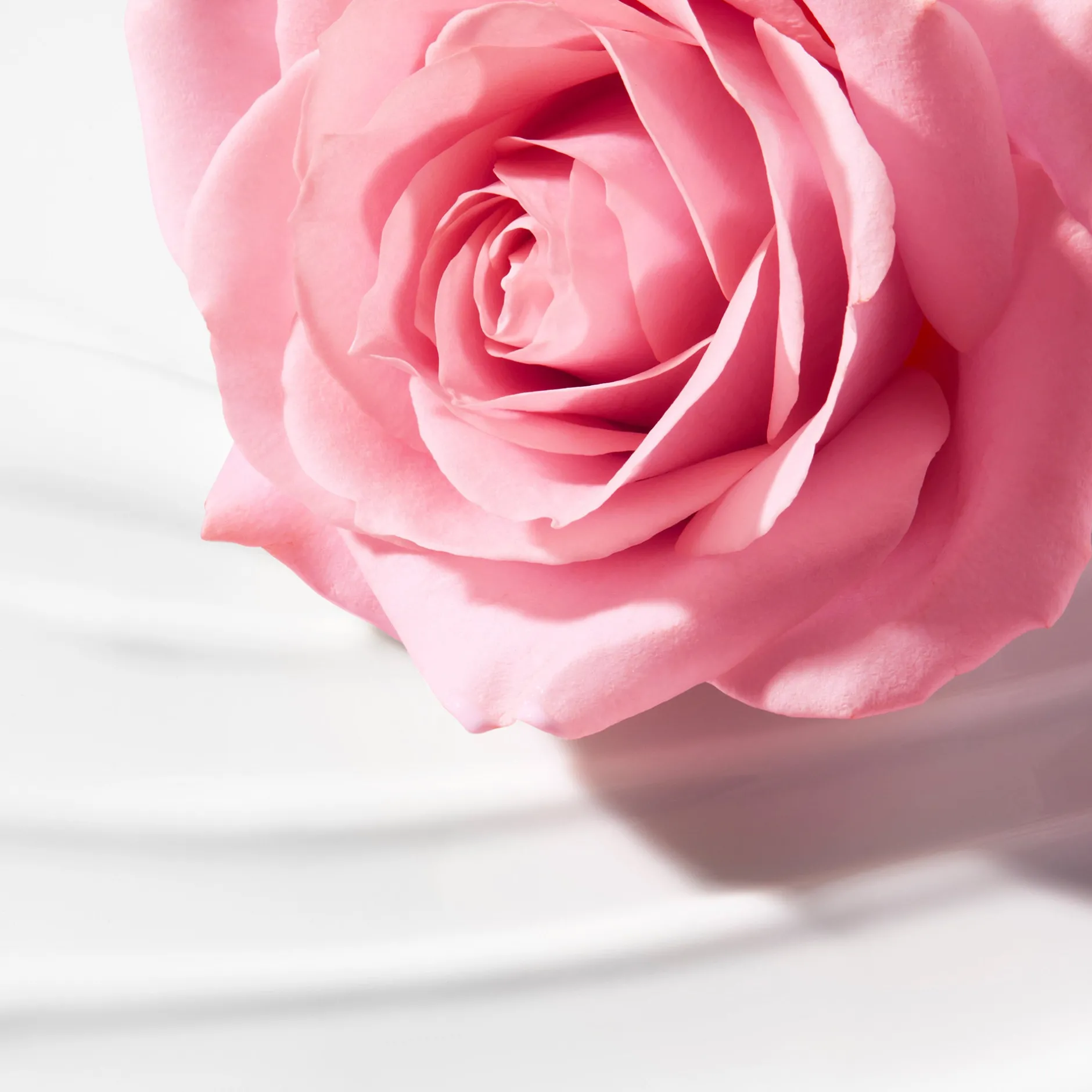 cremige_reinigungsmilch__alte_formel_2.webp NUXE Gesichtsreinigung*Cremige Reinigungsmilch - alte Formel