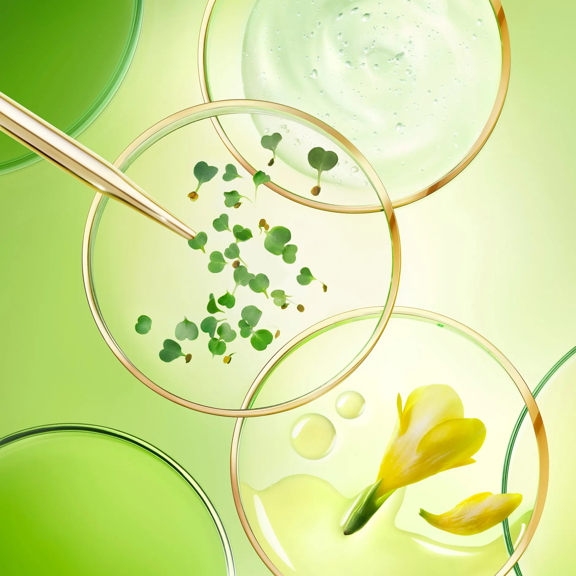 die_reichhaltige_globale_antiagingcreme_3.webp NUXE Tagescreme | Anti-Aging*Die Reichhaltige Globale Anti-Aging-Creme