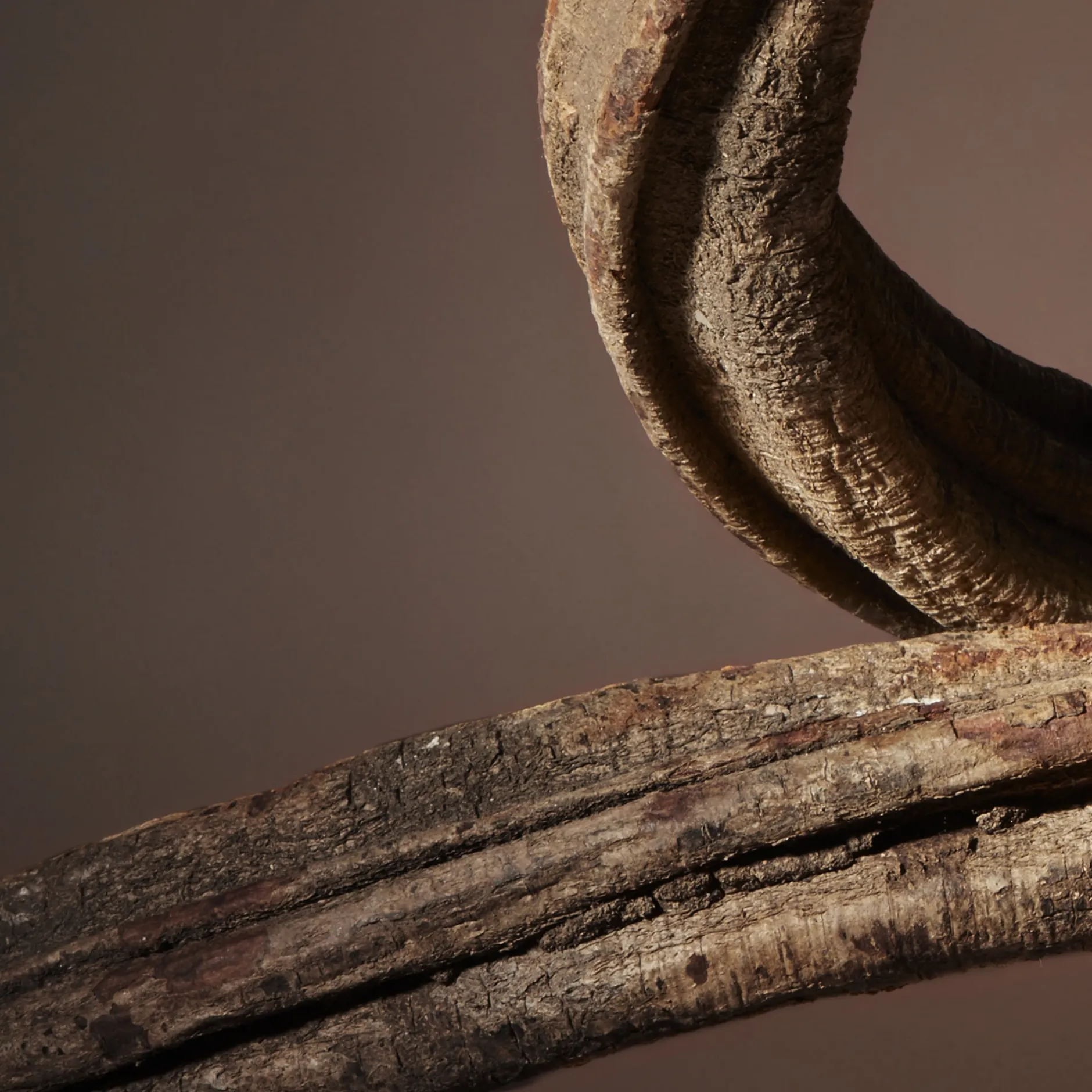 duo_duschgel_nuxe_men_3.webp NUXE Shampoo | Duschgel*Duo Duschgel, Men