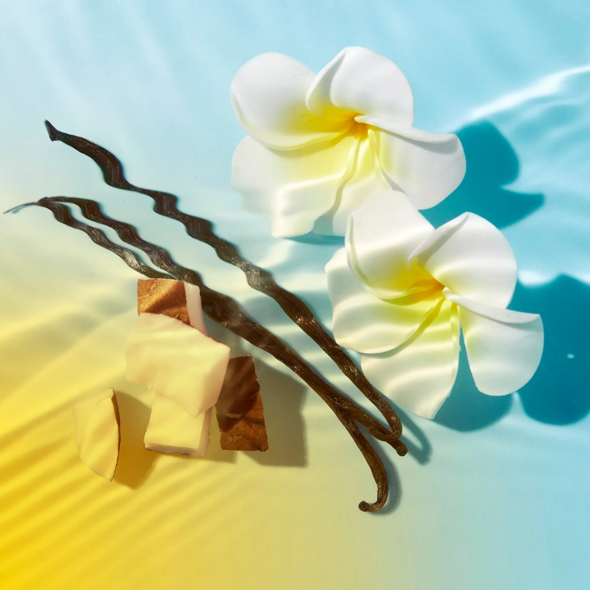 erfrischende_aftersunmilch_gesicht_und_krper_3.webp NUXE After-Sun | Körpercreme*Erfrischende After-Sun-Milch Gesicht und Körper