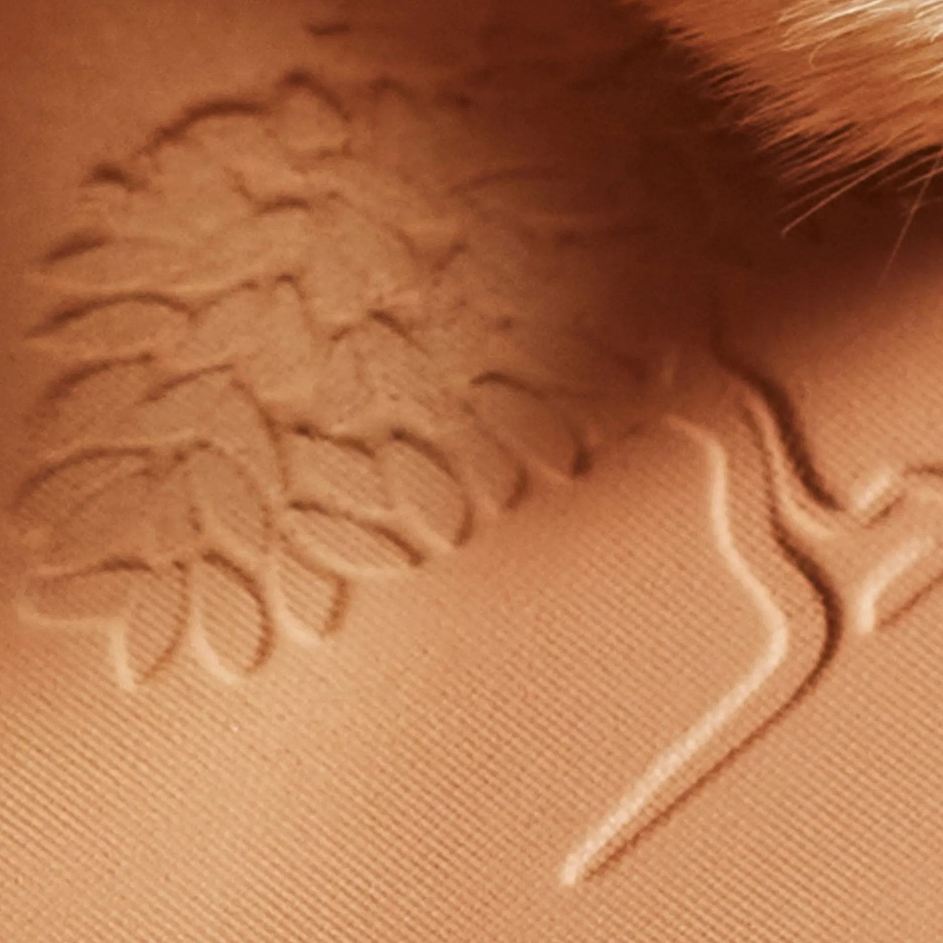 kompakter_multifunktionsbrunungspuder_3.webp NUXE Make-up*KOMPAKTER MULTIFUNKTIONS-BRÄUNUNGSPUDER