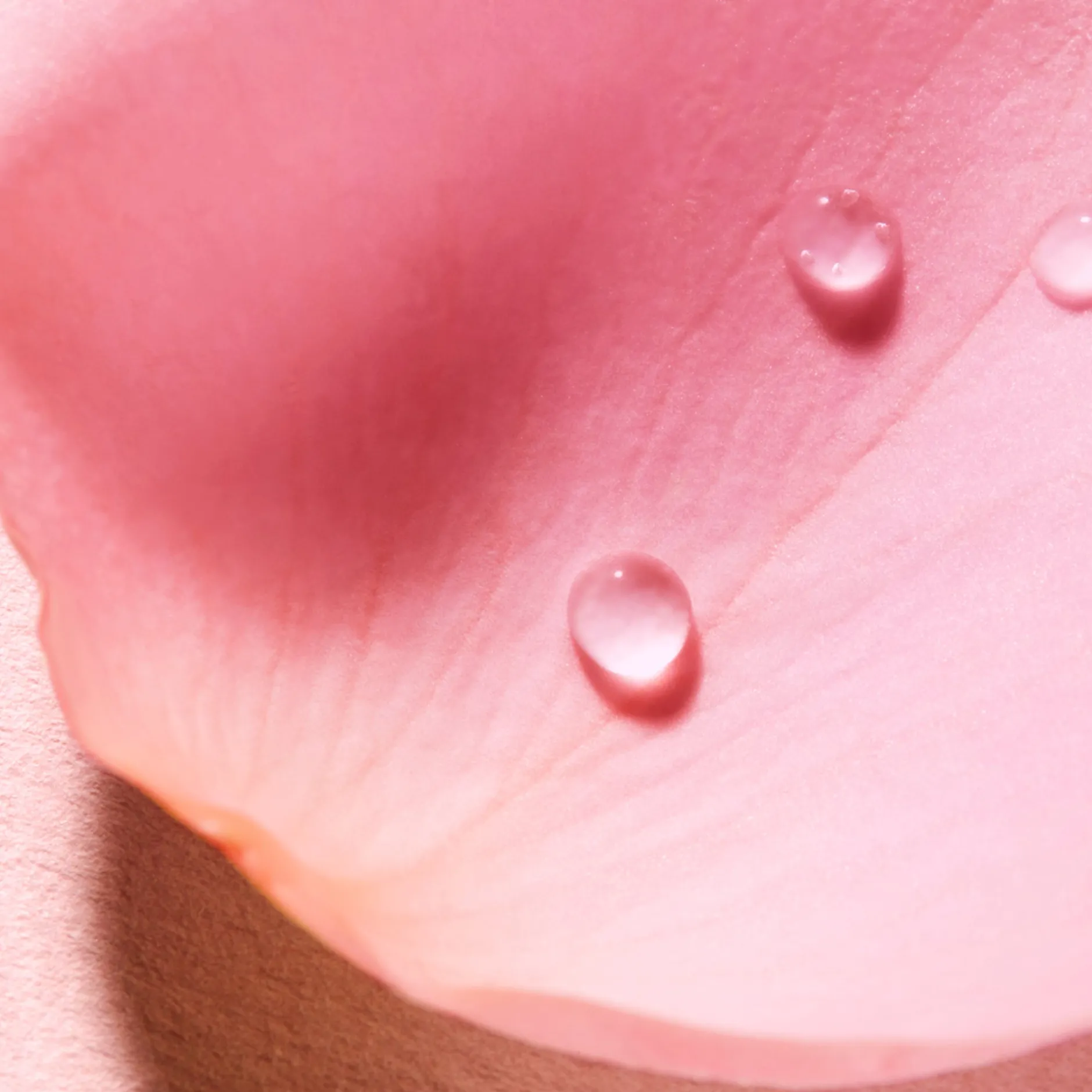 sinnliches_duftspray_4.webp NUXE Parfum*Sinnliches Duftspray